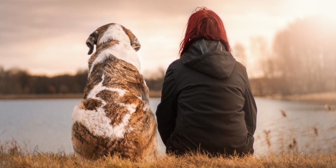 Der Beginn einer langen Freundschaft: Wie fanden Mensch und Hund zueinander?
